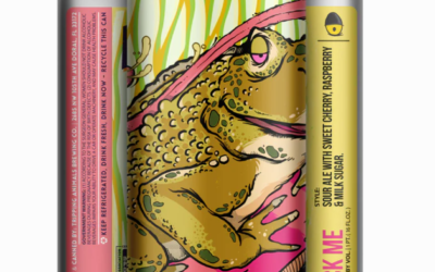 Review: Lick Me Sour Ale by Tripping Animals Brewing Co.